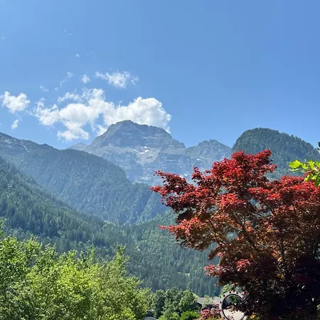 Lofer Mit Garten Und Schwimmbad Апартаменты *