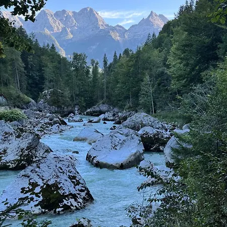 Grubhof Scholsspark, Lofer Mit Garten Und Schwimmbad Appartamento
